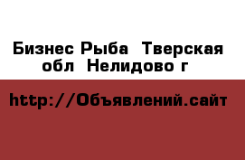 Бизнес Рыба. Тверская обл.,Нелидово г.